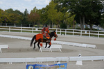 DSC02149.JPG